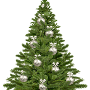 christmas tree 1853582 640