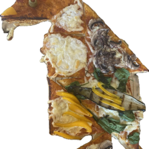 fantasievogel freigestellt